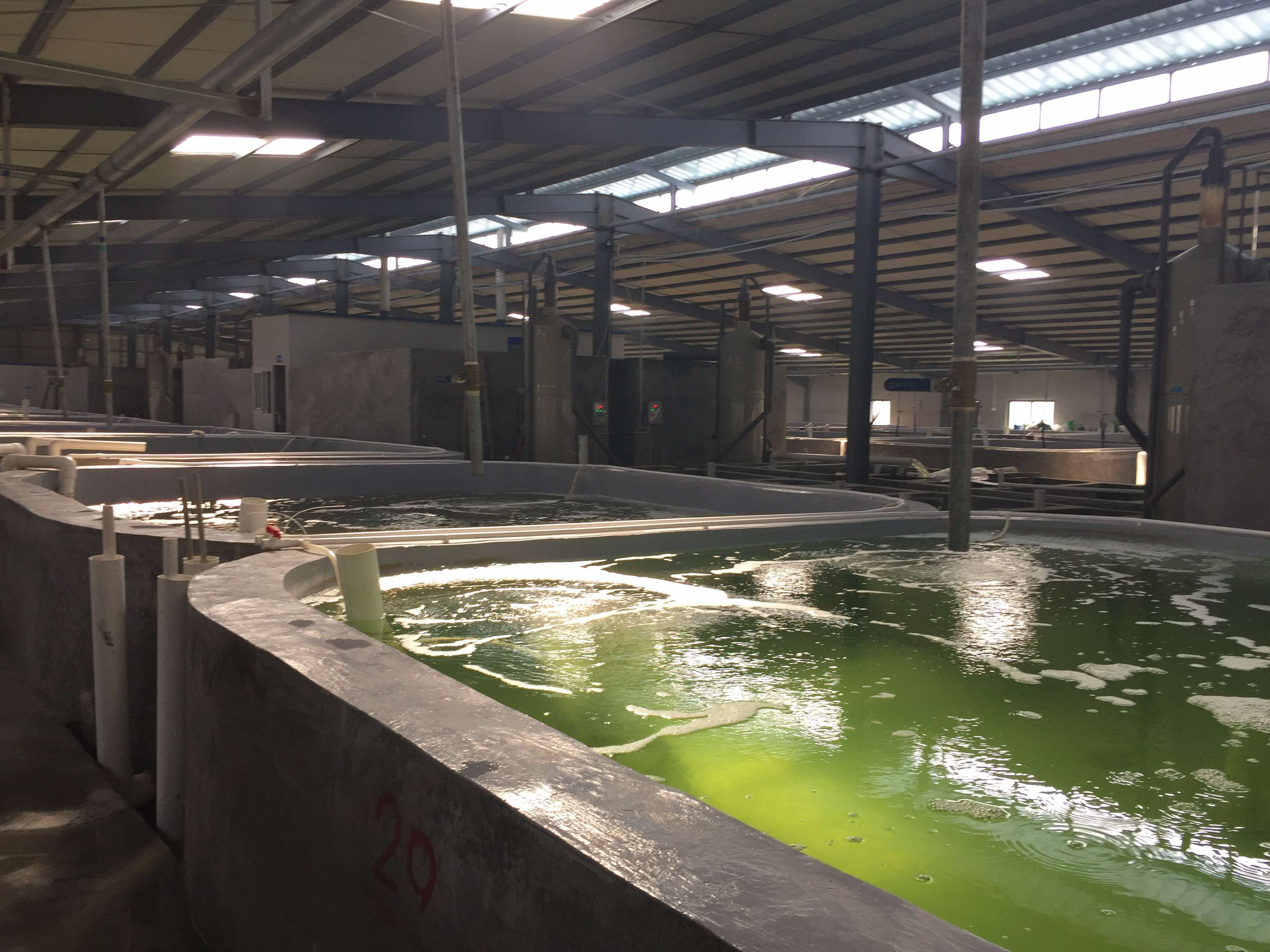 高密度水產養殖制氧機設備介紹